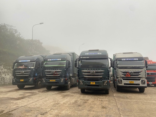 Biên mậu thời số hóa: “Gỡ khó” CIFER và cơ hội tái định hình chuỗi xuất khẩu thực phẩm